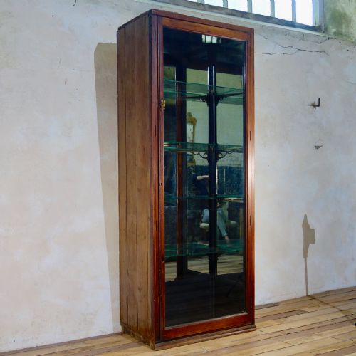 a large 19th century mahogany shop display cabinet - CATEGORY: ANTIQUE CABINETS - DATED 19TH CENTURY