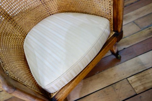 A REGENCY 19TH CENTURY CANED BERGERE LIBRARY TUB CHAIR GILLOWS MANNER - ADDITIONAL PHOTO 12