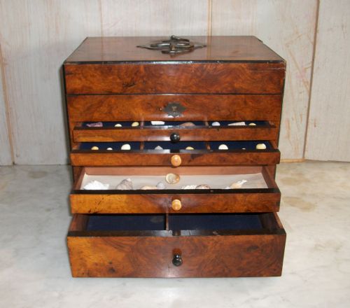 A VICTORIAN COLLECTOR'S CHEST - ADDITIONAL PHOTO 2
