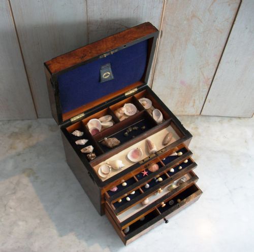 A VICTORIAN COLLECTOR'S CHEST - ADDITIONAL PHOTO 5