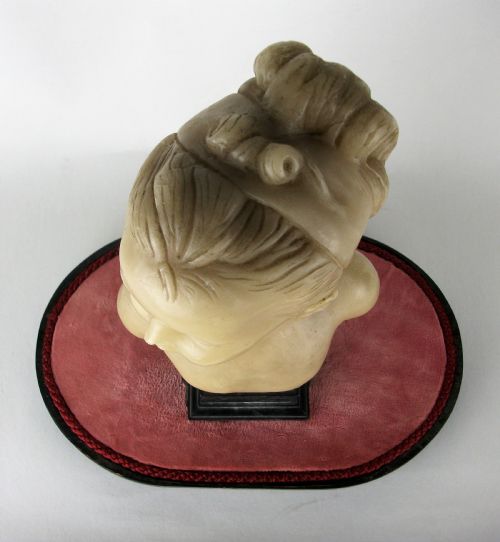 WAX SCULPTURE OF LOUISE BRONGNIART UNDER A GLASS DOME - ADDITIONAL PHOTO 9