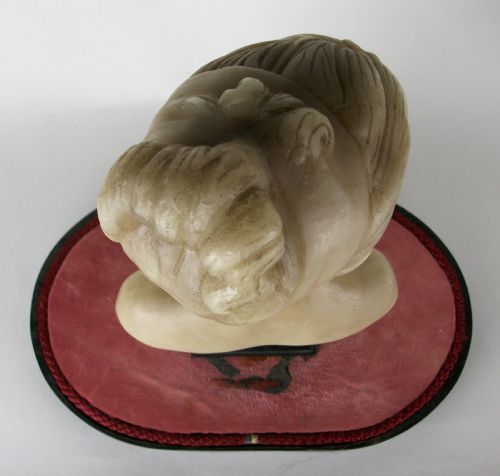 WAX SCULPTURE OF LOUISE BRONGNIART UNDER A GLASS DOME - ADDITIONAL PHOTO 10