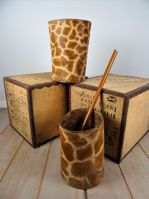 A PAIR OF ROWLAND WARD TAXIDERMY GIRAFFE WALKING STICK OR CANE STANDS - ADDITIONAL PHOTO 1