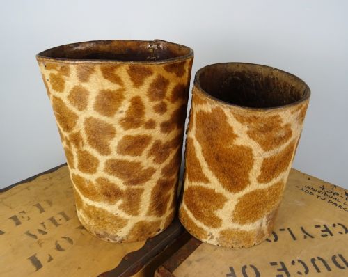 A PAIR OF ROWLAND WARD TAXIDERMY GIRAFFE WALKING STICK OR CANE STANDS - ADDITIONAL PHOTO 5