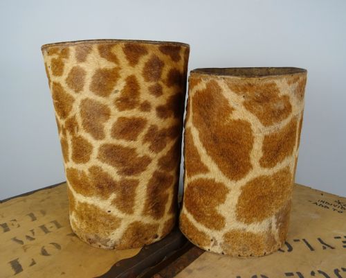 A PAIR OF ROWLAND WARD TAXIDERMY GIRAFFE WALKING STICK OR CANE STANDS - ADDITIONAL PHOTO 6