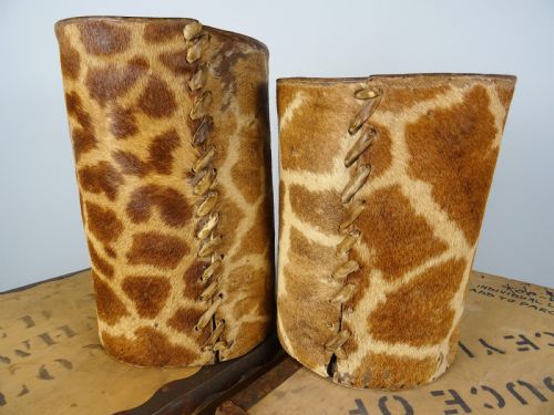 A PAIR OF ROWLAND WARD TAXIDERMY GIRAFFE WALKING STICK OR CANE STANDS - ADDITIONAL PHOTO 7