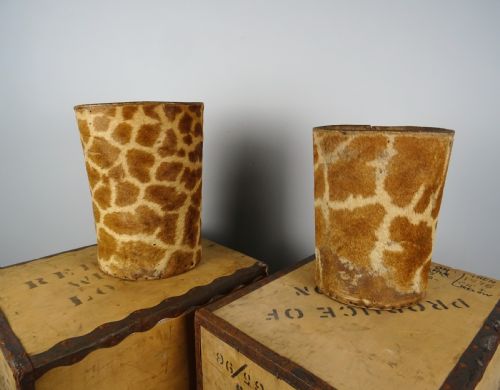 A PAIR OF ROWLAND WARD TAXIDERMY GIRAFFE WALKING STICK OR CANE STANDS - ADDITIONAL PHOTO 8