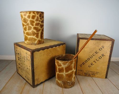 A PAIR OF ROWLAND WARD TAXIDERMY GIRAFFE WALKING STICK OR CANE STANDS - ADDITIONAL PHOTO 10