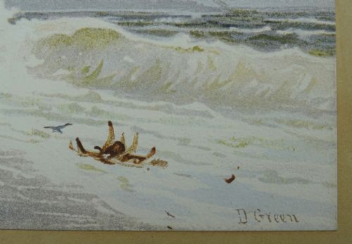 A PAIR OF WATERCOLOURS BY DAVID GOULD GREEN 1854191718 - ADDITIONAL PHOTO 3