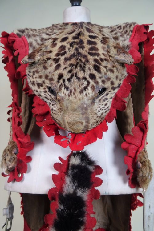 CAMPAIGN MILITARY DRUMMER'S LEOPARD SKIN TAXIDERMY APRON BOER WAR - ADDITIONAL PHOTO 3