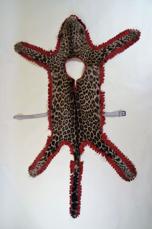 CAMPAIGN MILITARY DRUMMER'S LEOPARD SKIN TAXIDERMY APRON BOER WAR - ADDITIONAL PHOTO 6