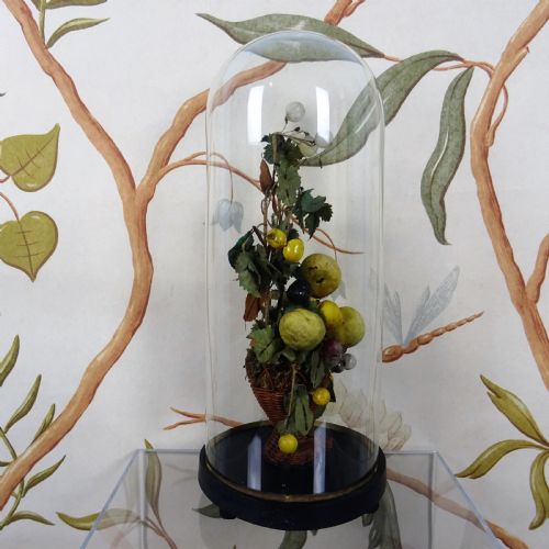19TH CENTURY STILL LIFE OF FRUITS UNDER A GLASS DOME - ADDITIONAL PHOTO 8