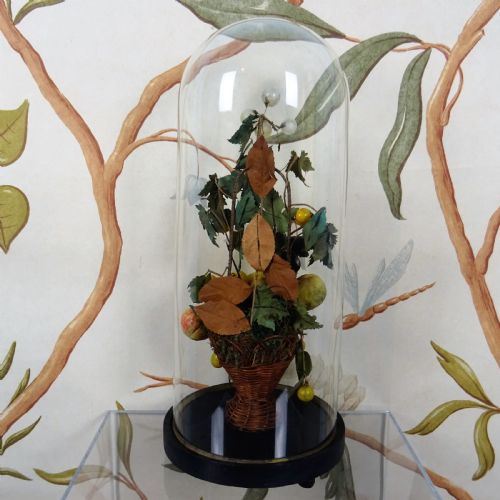 19TH CENTURY STILL LIFE OF FRUITS UNDER A GLASS DOME - ADDITIONAL PHOTO 9