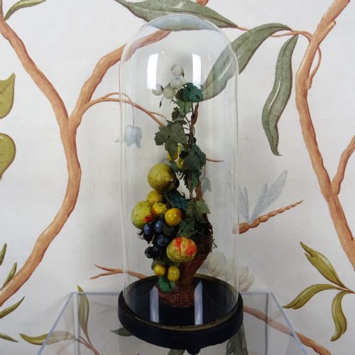 19TH CENTURY STILL LIFE OF FRUITS UNDER A GLASS DOME - ADDITIONAL PHOTO 1