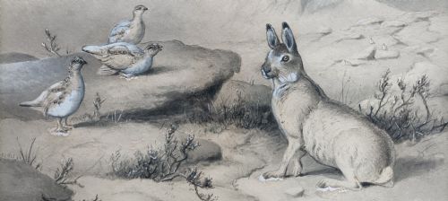 EDWARD NEALE FRAMED PENCIL WATERCOLOUR MIXED MEDIA PICTURE - ADDITIONAL PHOTO 1