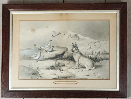 edward neale framed pencil watercolour mixed media picture - CATEGORY: ANTIQUE ART - DATED 1900