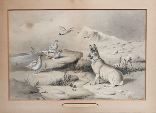 EDWARD NEALE FRAMED PENCIL WATERCOLOUR MIXED MEDIA PICTURE - ADDITIONAL PHOTO 6