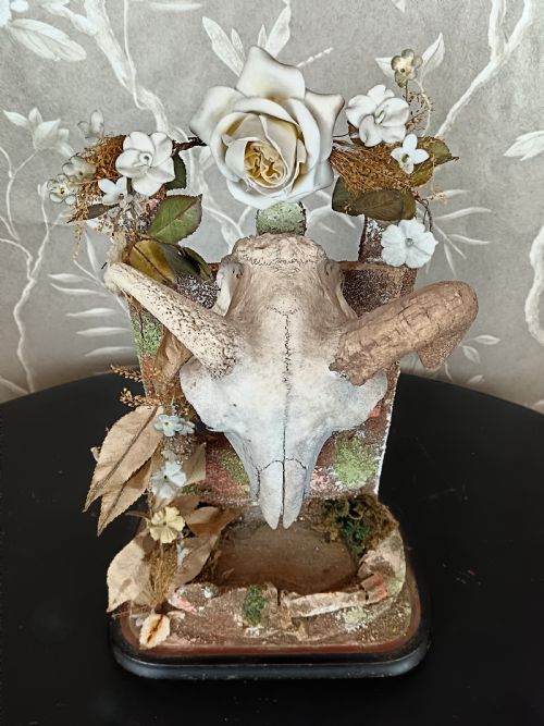 ANTIQUE VICTORIAN ANIMAL SKULL DISPLAY - ADDITIONAL PHOTO 1