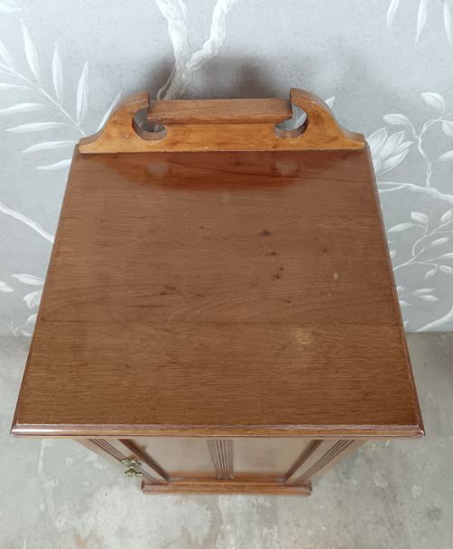 EDWARDIAN MAHOGANY POT CUPBOARD - ADDITIONAL PHOTO 5