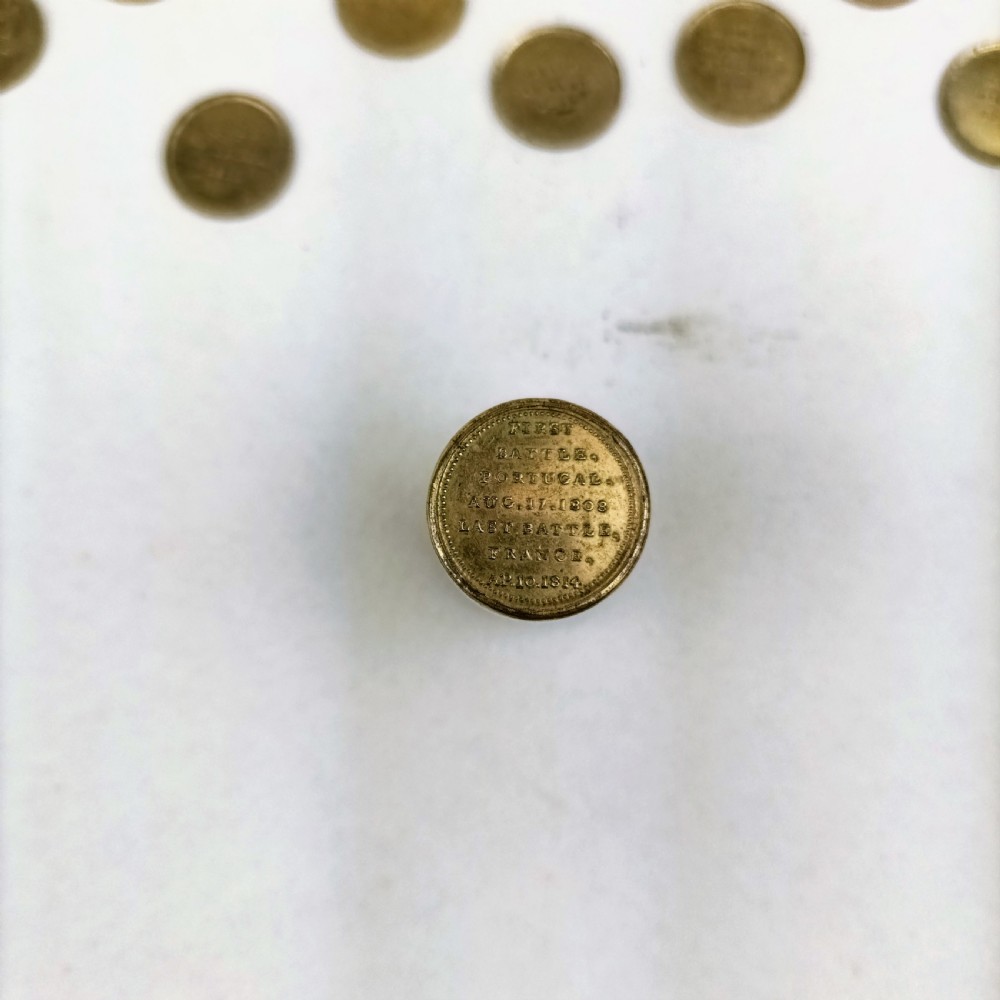 Medallions Of Wellington’s Victories Against Napoleon in the Peninsular Campaign View VIII
