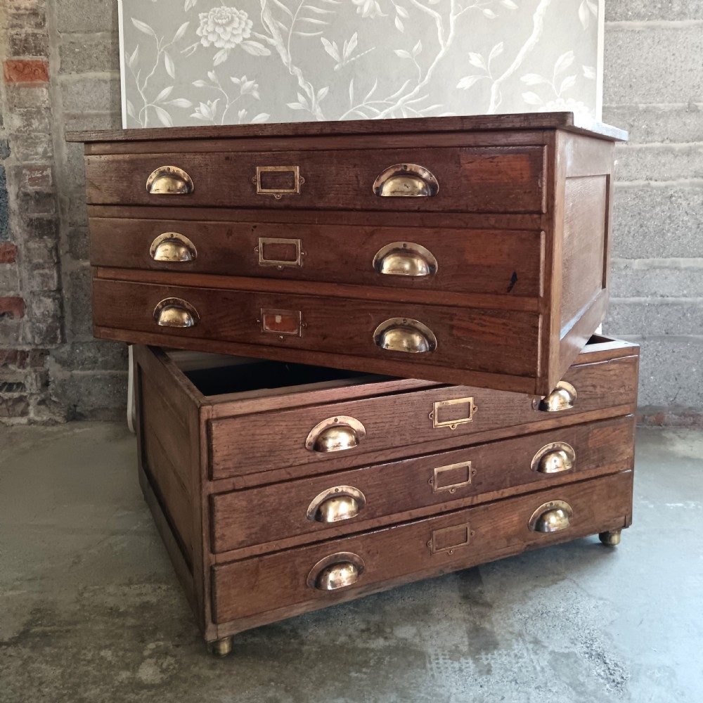 Antique Collector or Architect Plan Chest 1920