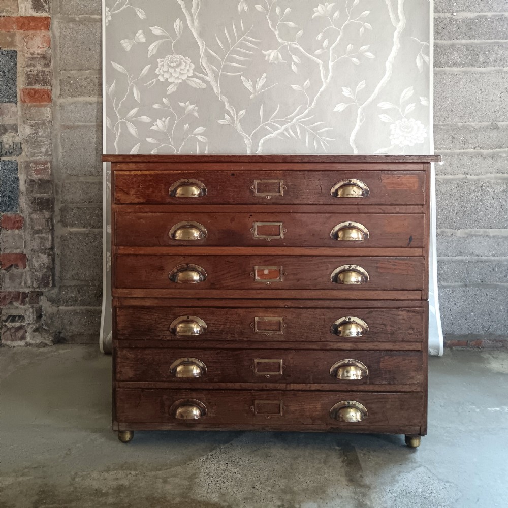 Antique Collector or Architect Plan Chest 1920 View II