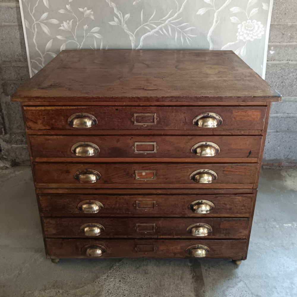 Antique Collector or Architect Plan Chest 1920 View III