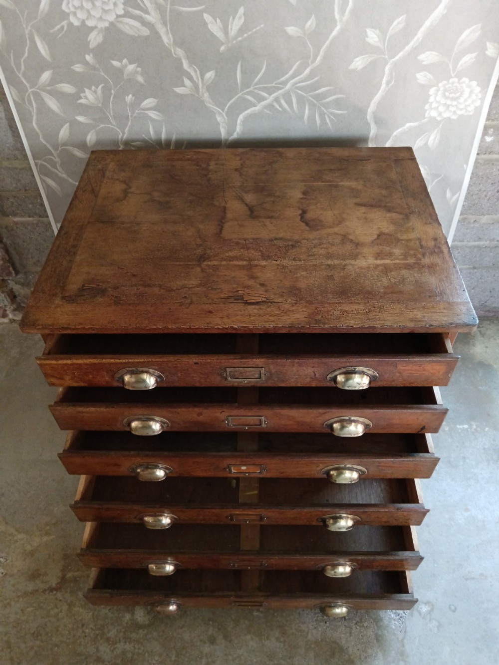 Antique Collector or Architect Plan Chest 1920 View IV