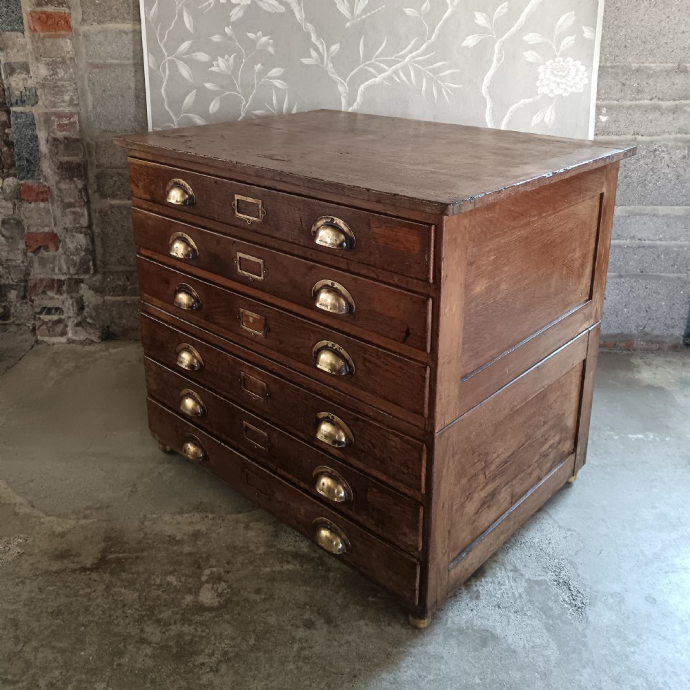 Antique Collector or Architect Plan Chest 1920 View V