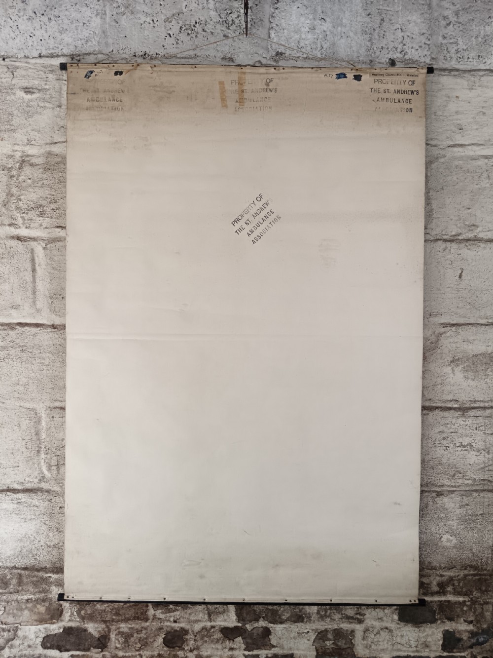 An antique printed wall chart illustrating a full human skeleton alongside anatomical diagrams of the skull, spine, and bone structure, mounted on dark wooden batons. View III