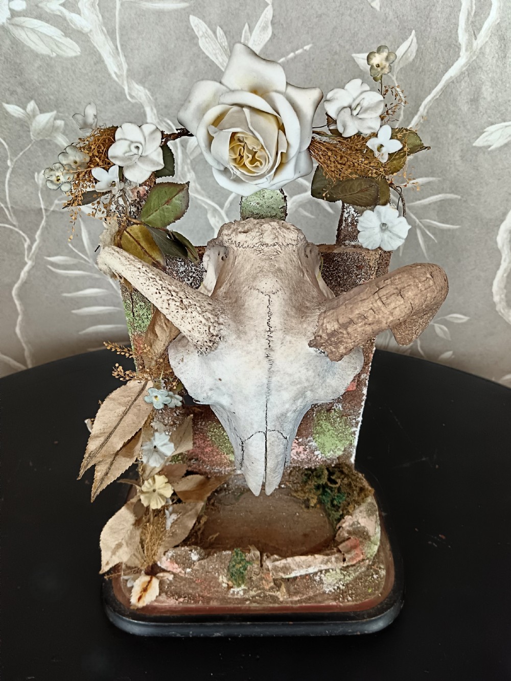 An antique Victorian animal skull with curved horns mounted on a moss-covered diorama base decorated with dried flowers, set upon a dark oval wooden plinth. View II