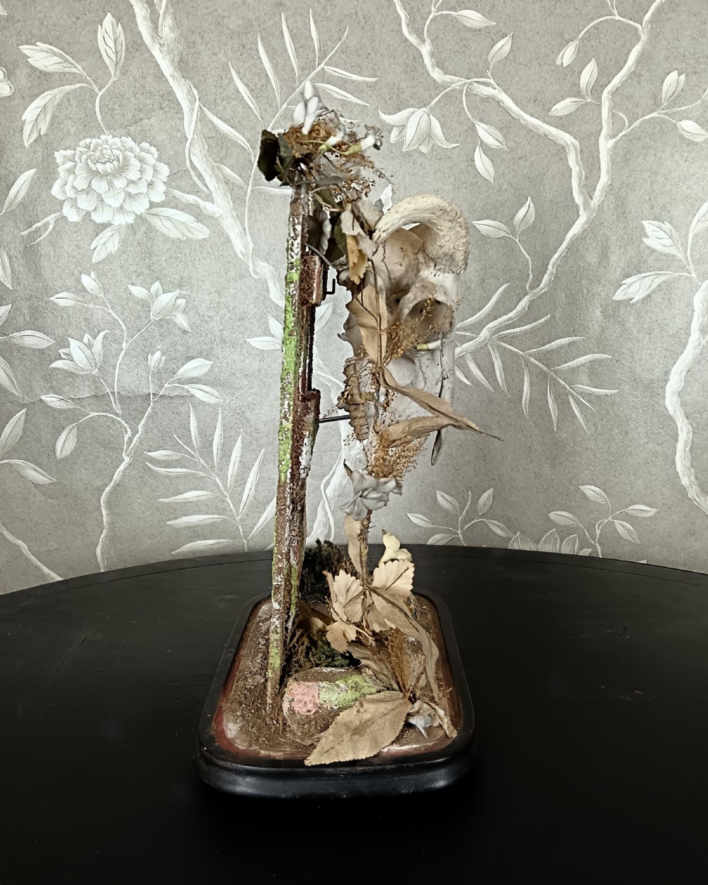 An antique Victorian animal skull with curved horns mounted on a moss-covered diorama base decorated with dried flowers, set upon a dark oval wooden plinth. View IV