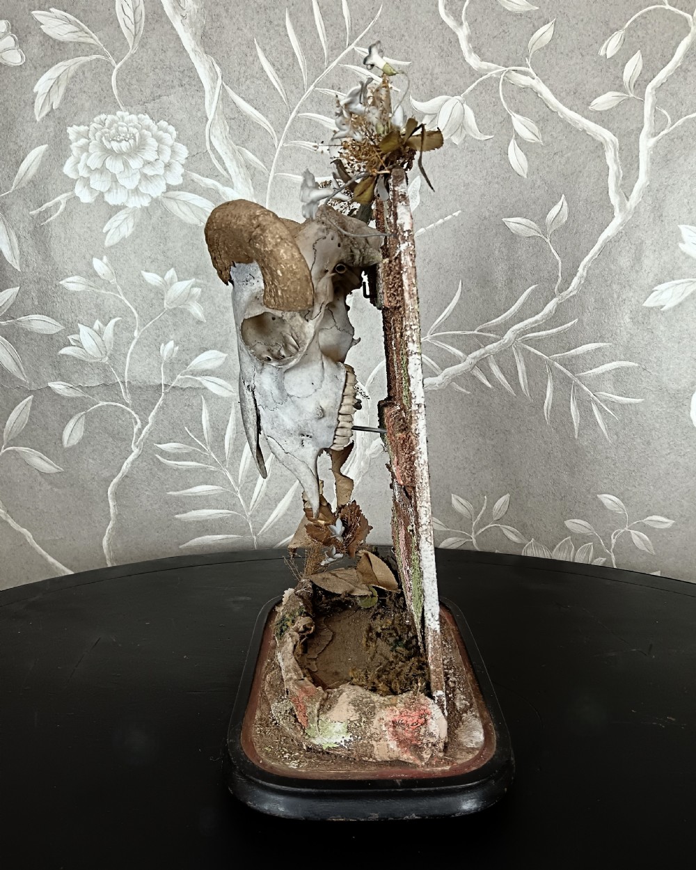 An antique Victorian animal skull with curved horns mounted on a moss-covered diorama base decorated with dried flowers, set upon a dark oval wooden plinth. View V