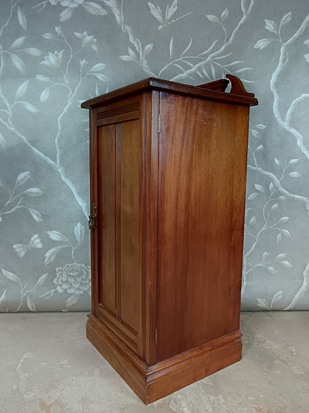 Edwardian Mahogany Pot Cupboard View II