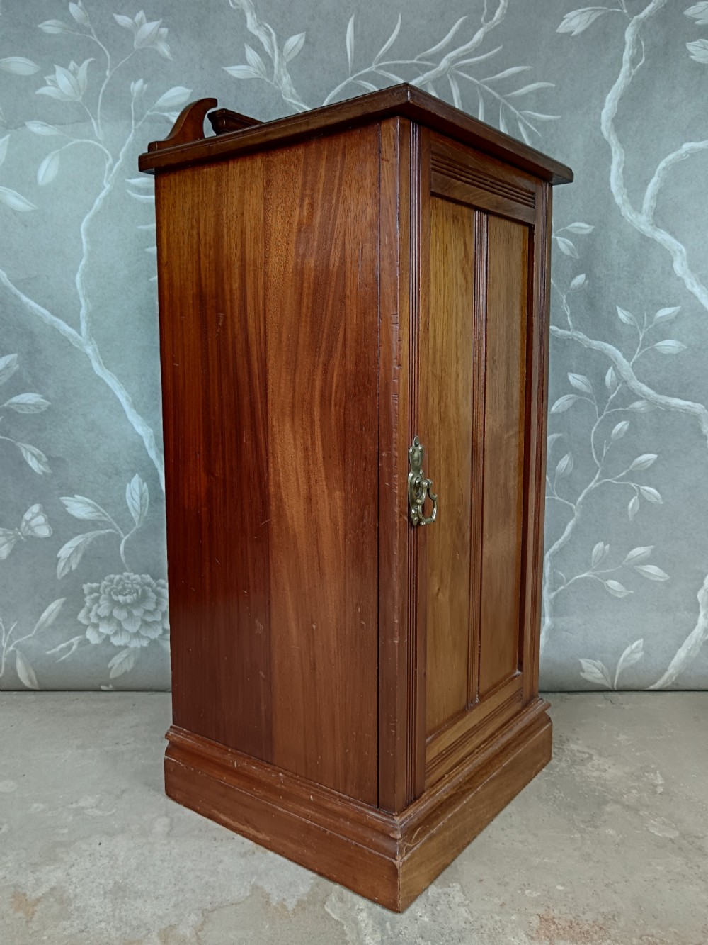 Edwardian Mahogany Pot Cupboard View III