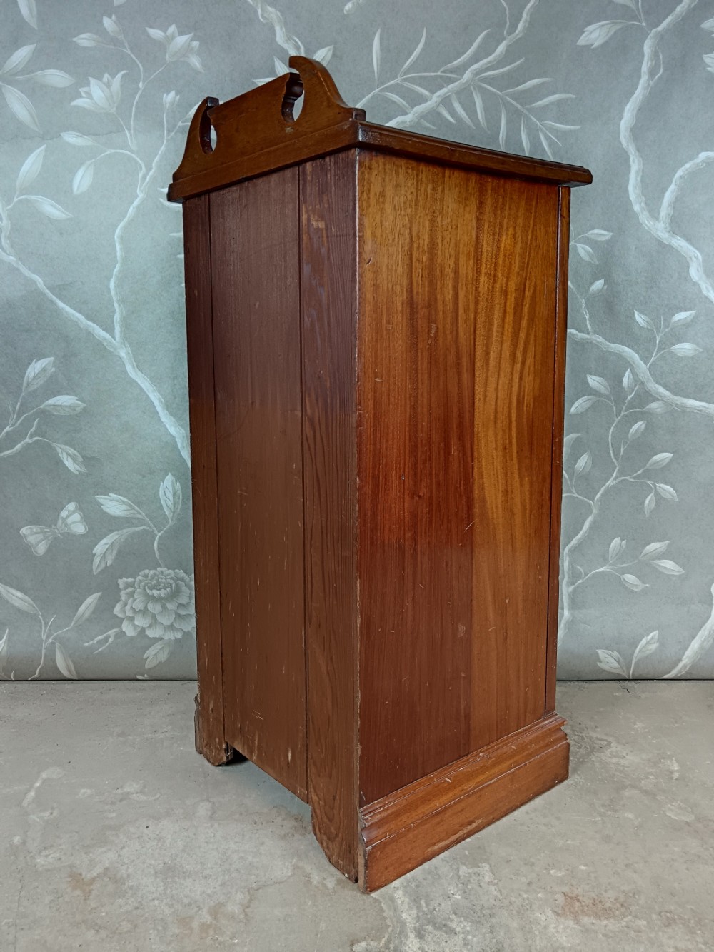 Edwardian Mahogany Pot Cupboard View IV