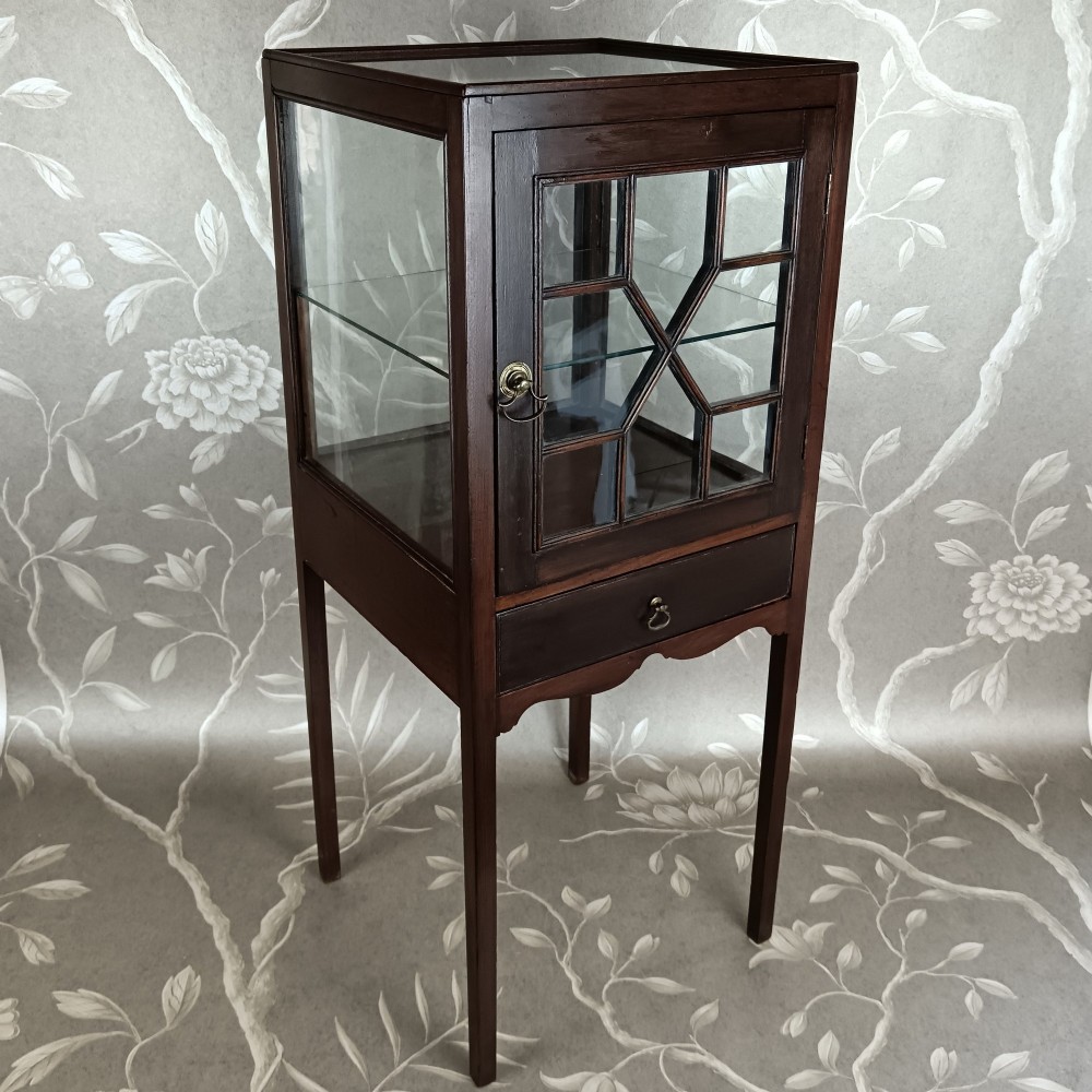 A Fine Georgian Mahogany Vitrine Display Cabinet