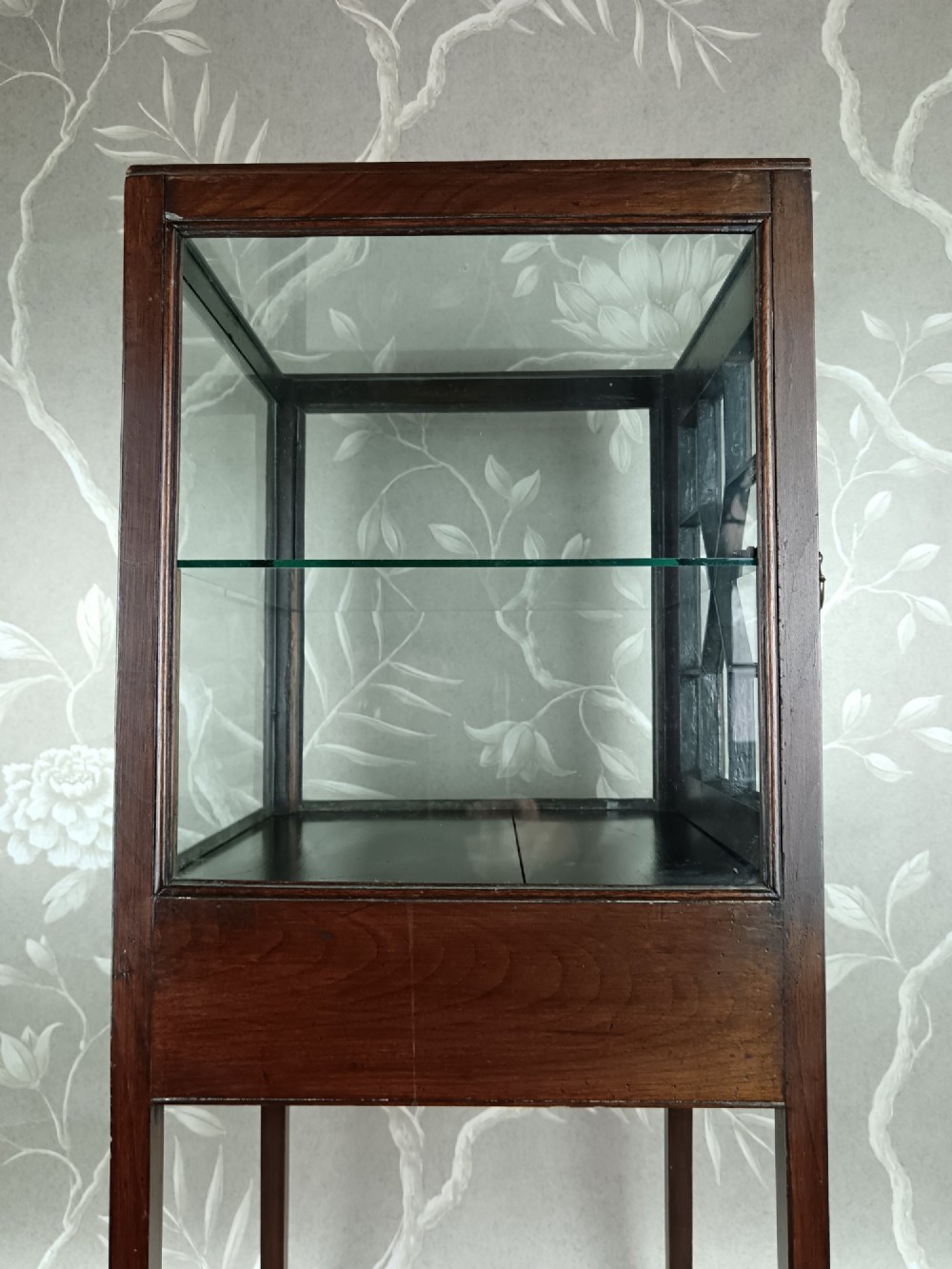 A Georgian mahogany vitrine cabinet featuring glazed side panels, a single lower drawer, straight tapered legs, and a glazed front door with geometric astragal glazing bars. View VII
