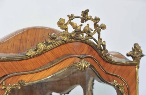 19TH CENTURY SEDAN STYLE VITRINE - ADDITIONAL PHOTO 4