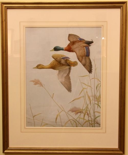 A Watercolour of Ducks in Flight
