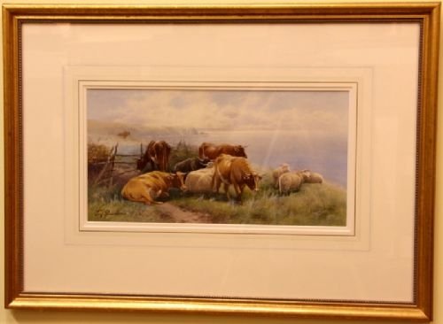 Watercolour of Cattle and Sheep on a Cliff Top