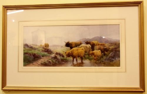 Cattle of Dartmoor, Near Okehampton Watercolour