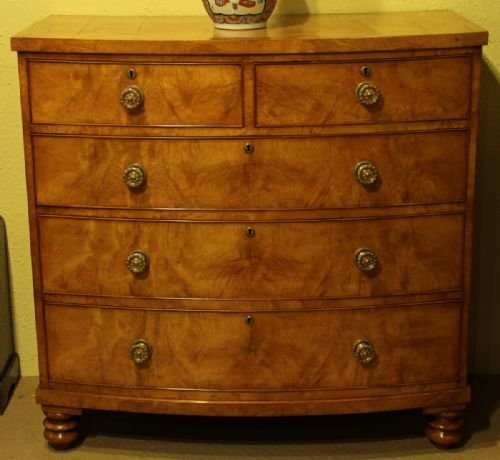 An Early 19th Century Burr Maple Bow-front Chest of Drawers