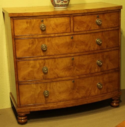 fig 1. An Early 19th Century Burr Maple Bow-front Chest of Drawers