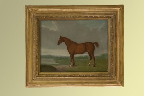 Oil on Canvas of Thoroughbred Horse by J. Barenger