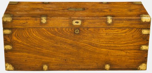 Brass Band Elm Trunk