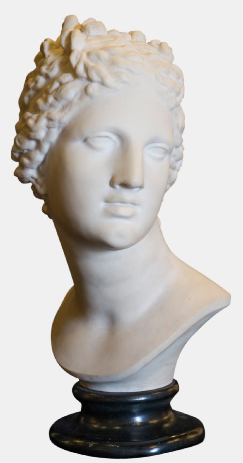 Carved Marble Bust of Aphrodite