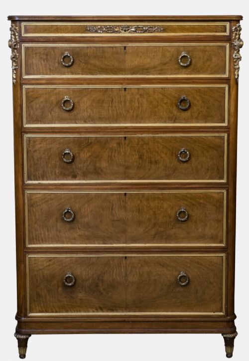 Edwardian Walnut Tall Chest