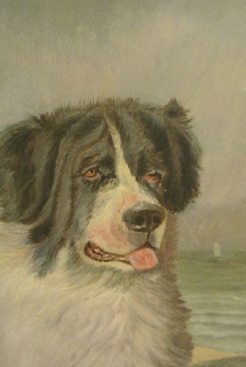 fig 1. Oil on Canvas of Newfoundland Dog