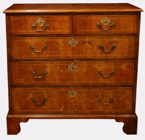 19th Century Yew Oyster Shell Chest of Drawers
